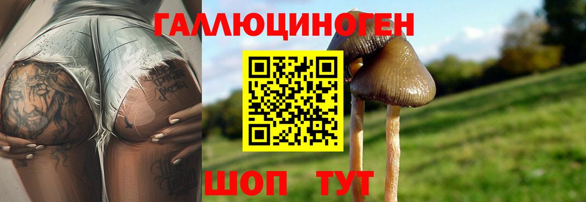 Псилоцибиновые грибы мухоморы Нижневартовск